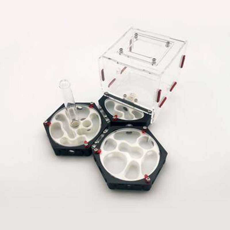 Ant Space Station 3D Ant Nest Queen Nest Acrylic Ant Nest Idea Reptile Terrarium Ants Farm House: Style-J