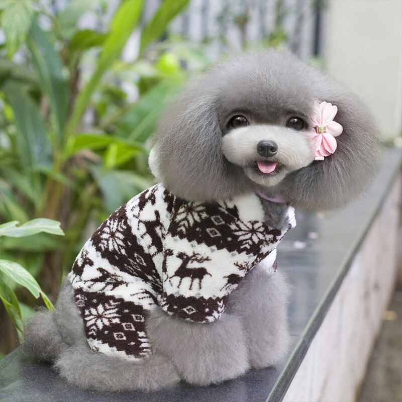 Inverno quente macio hoodie macacão casaco roupas traje para cachorro de estimação cachorro quente bonito