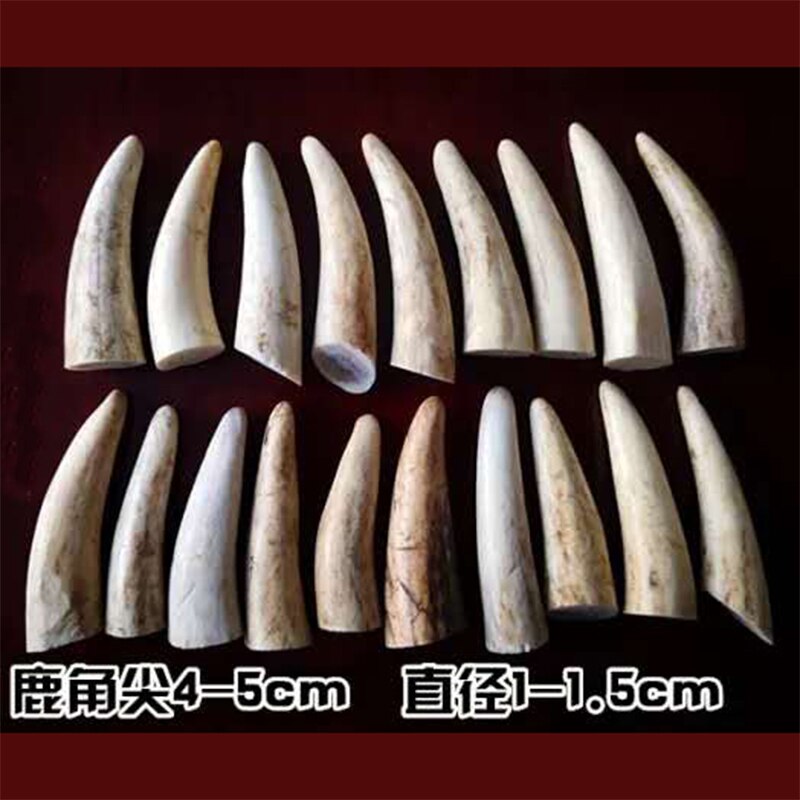 Red deer antler material antler point antler button deer horn section bar horn material knife handle material pendant angle mate