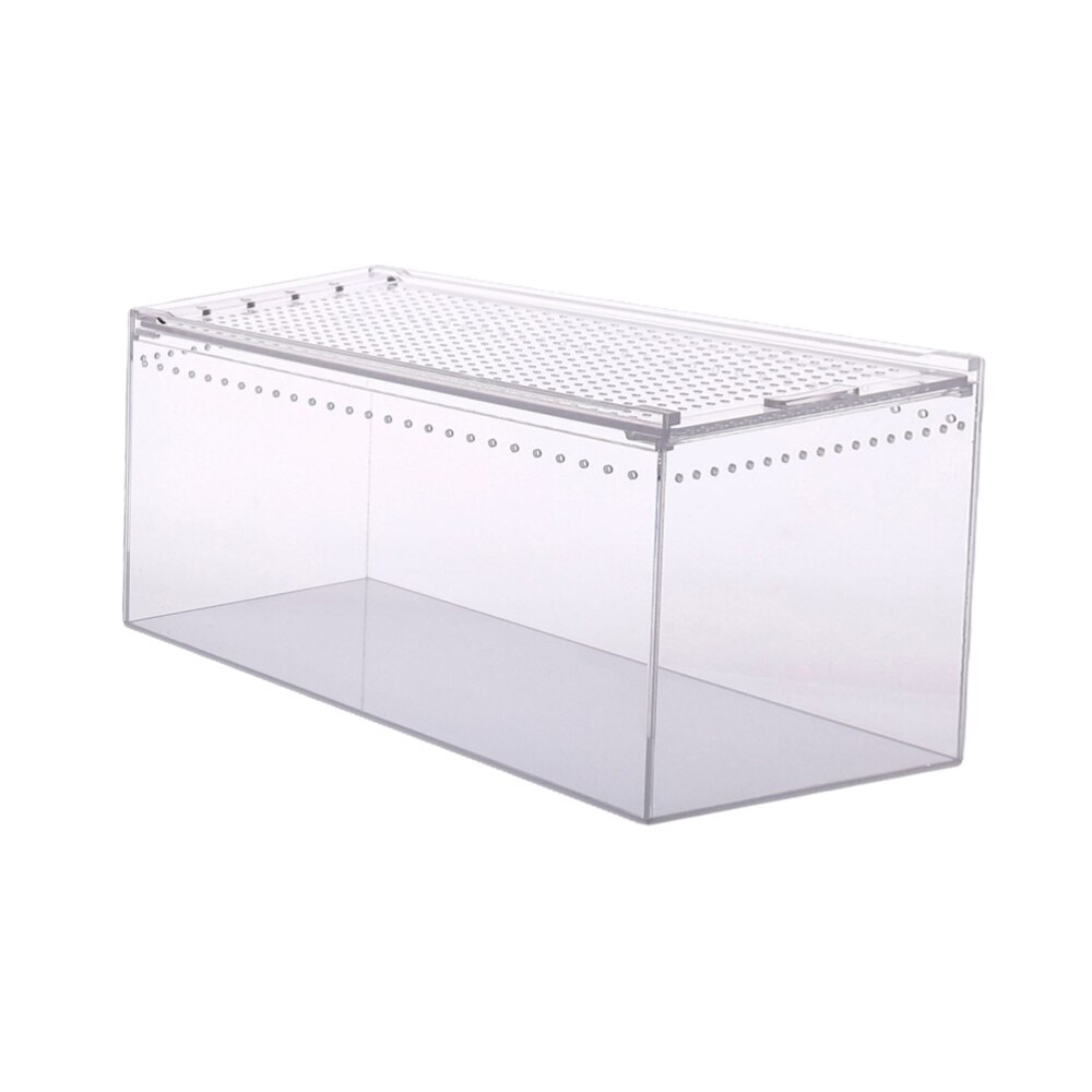Climbing Pet Feeding Box Insect Spider Small Pet Aquarium Breeding Box: Transparent 1