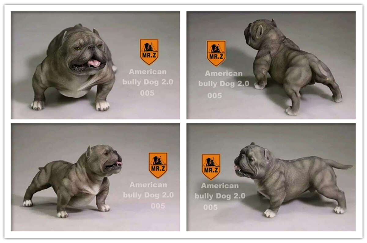 Mr.Z Studio 1:6 American Bully Pitbull Dog Pet Figure Animal Toy Collector Xmas Play Decoration Ornaments Hand To Do