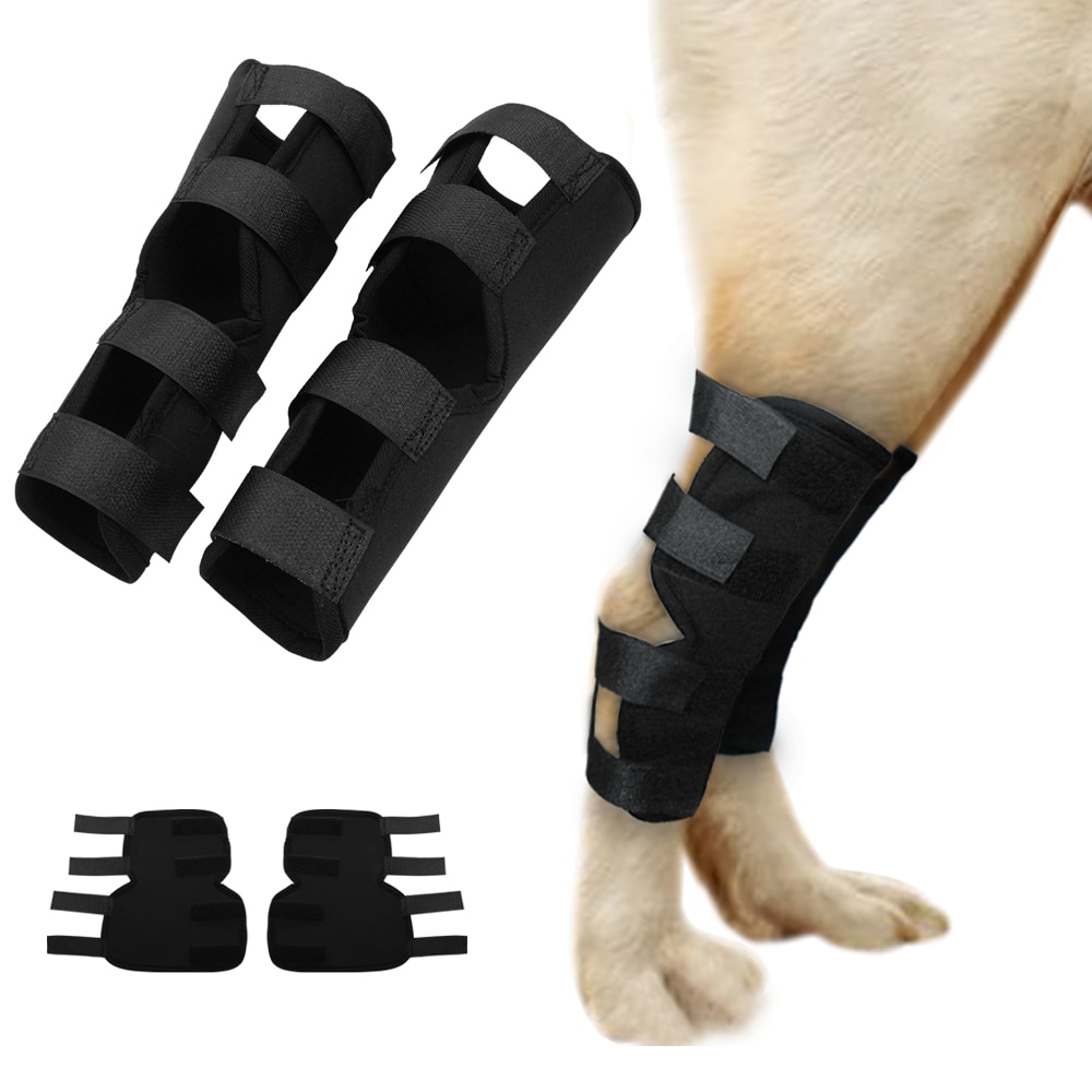 Dog Rear Leg Hock Joint Brace Pet Canine Back Legs Padded Support Dogs Ankle Safety Heal Band Wrap Protector Pet Supplies 2pcs