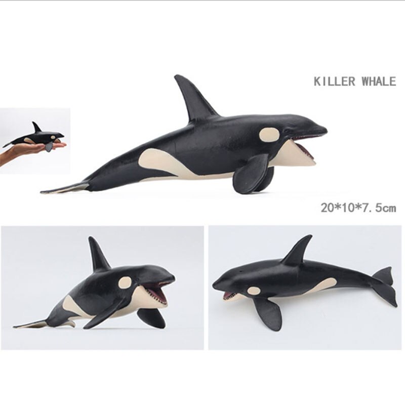 Educational toys for children simulated animal ocean great white shark seabed creatures girls toys for kids school learning: Killer whale