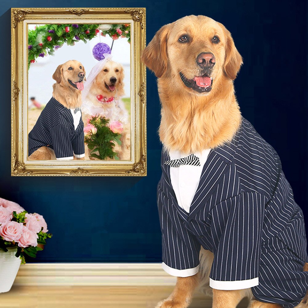 OIMG Gentleman Anzug Hund Hemden + Gestreiften Krawatte Bräutigam Hund Hochzeit Kleidung Für Große Hunde Blusen golden Retriever Labrador