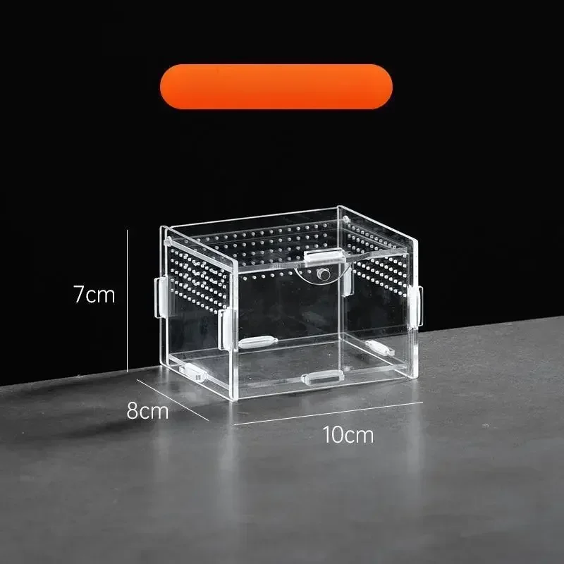 Acrílico transparente réptil terrário caixa de reprodução gaiola tartaruga nano arboreal tarântula gabinete querido dragão répteis habitat: SCARLET