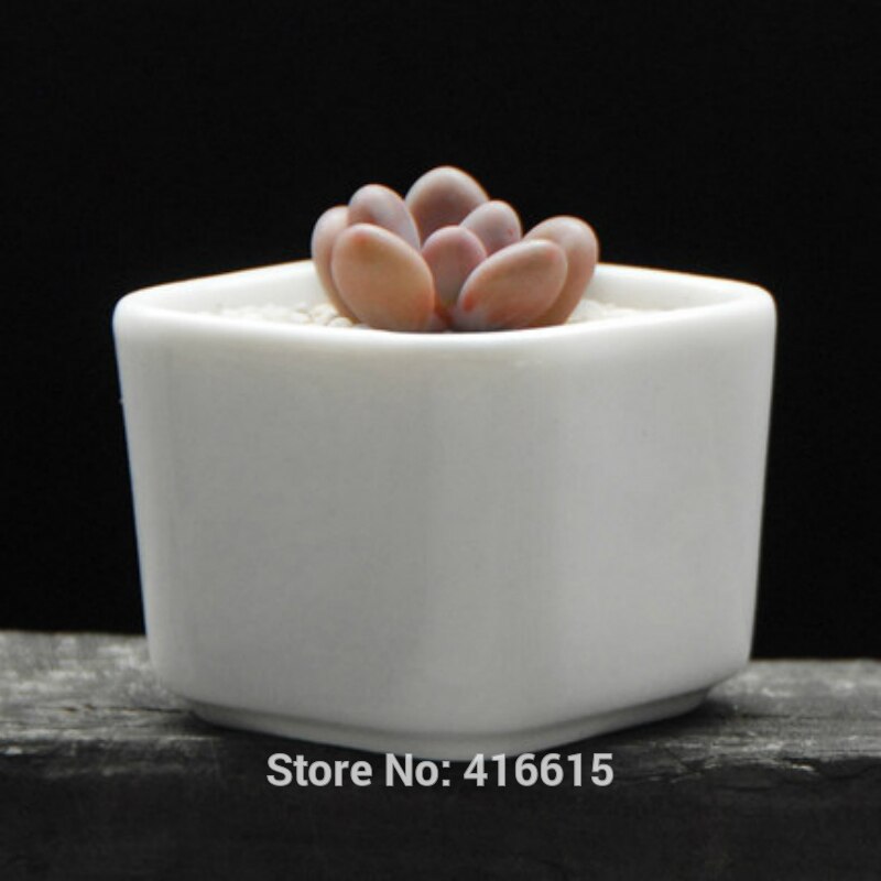 Stijl Eenvoudige Witte Vierkante Grote Keramische Bloempotten Desktop Moderne Decoratie Succulent Planter Steengoed Aardewerk Bonsai Pot