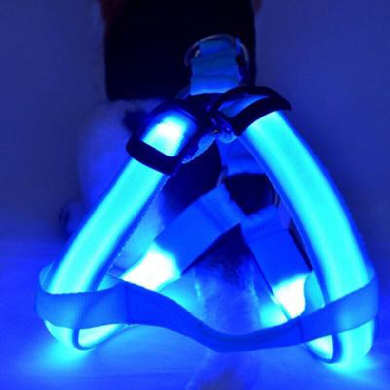 Collier Fluorescent en Nylon pour Chien, accessoire lumineux de nuit, lumière LED, harnais pour Chihuahua, Pitbull, EE5QY