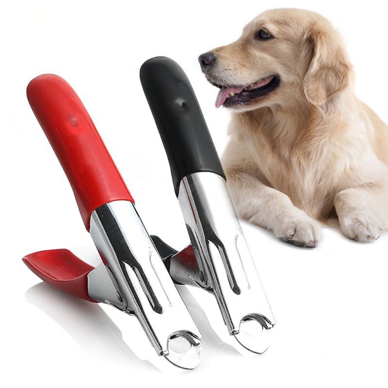 Kit de lima de uñas para perros y gatos y pájaros, tijeras para cortar los dedos de los pies, tijeras, cortador, herramienta de aseo para cortar las uñas de las mascotas, garras