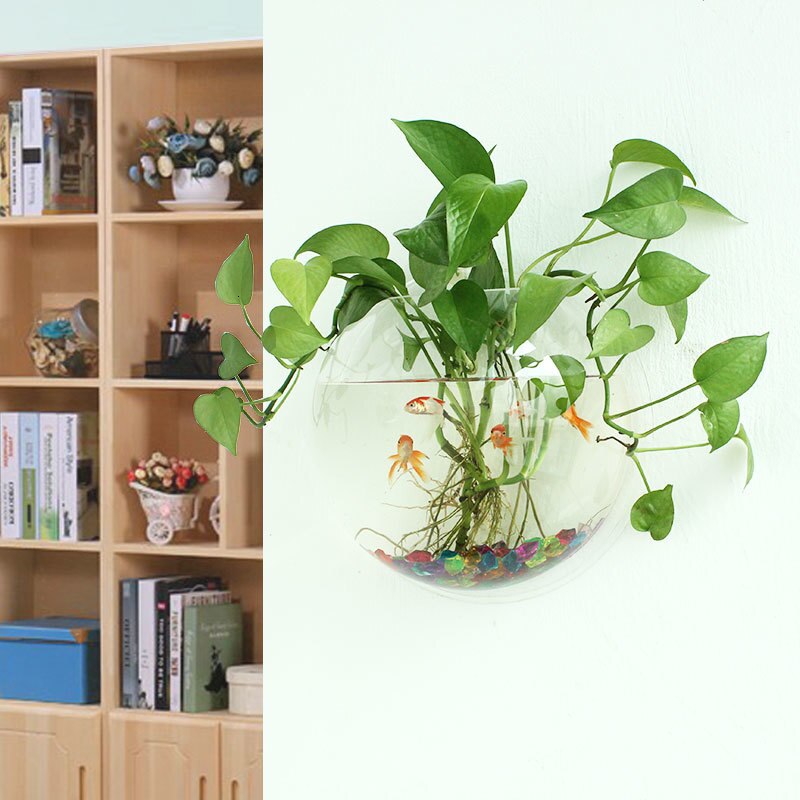 Peceras acrílicas para colgar en la pared, accesorios de montaje en pared, para acuario, maceta para flores, florero para plantas, Mini acuario, Betta
