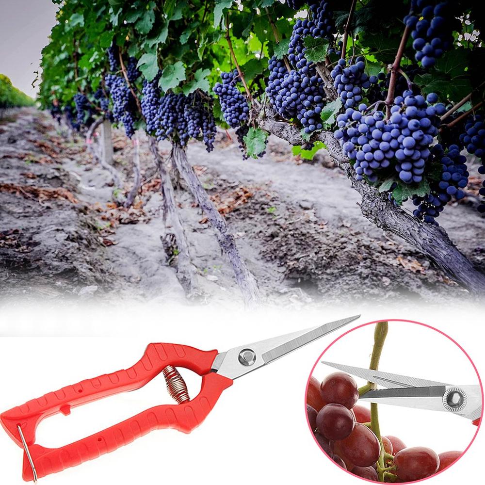 Gardening pruning fruit picking scissors