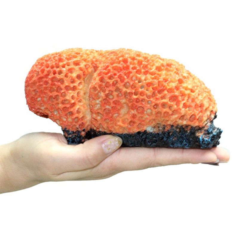 Aquarium kunstmatige koraalrif decoratie landschapsarchitectuur onderwaterlandschap aquarium ornament