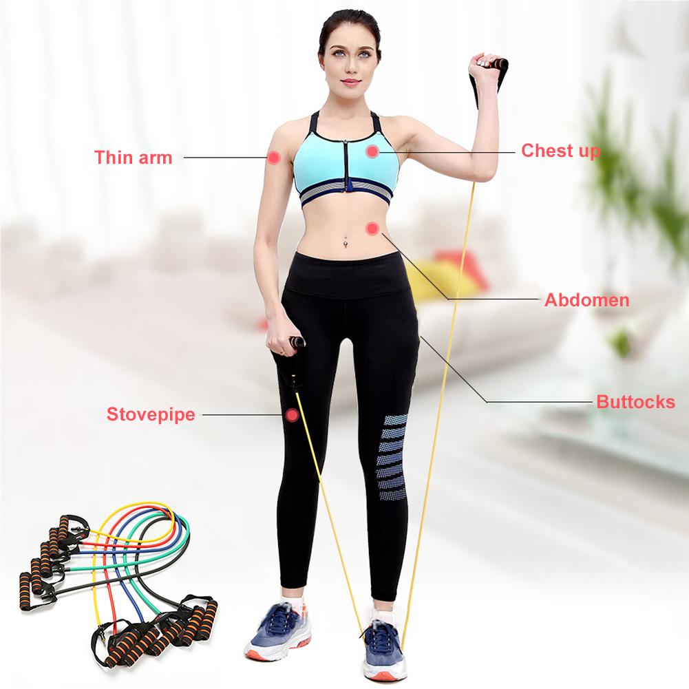 Exercise Resistance Bands With Handles Fitness Workout Bands For Home Gyms Daily Workout Strain Rope With Fitness Word