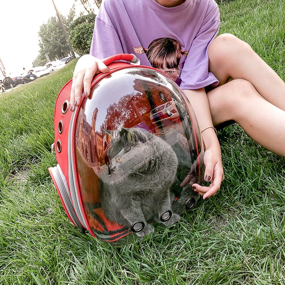 Kat Rugzak Venster Astronaut Tas Voor Katten Puppy Rugzak Carrier Voor Honden Trave Tas Dierbenodigdheden