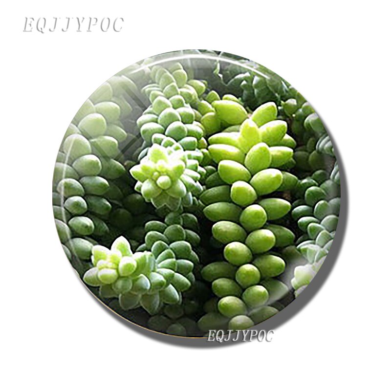 Fruit En Groente Koelkast Sticker Magnetische Avocado Perzik Tomaat Aardbei Orange Magneet Baby Onderwijs Home Decor: grape