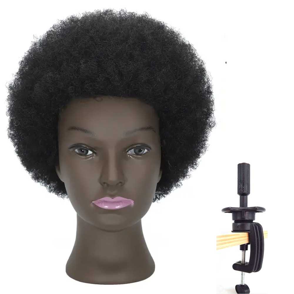 8 Inches Afro Mannequin Head Hair Traininghead Styling Head Braid Hair Dolls Head for Practicing Cornrows and Braids: WHITE