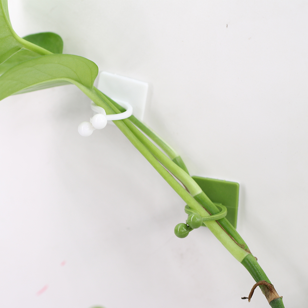 Self-Adhesive Hook for Climbing Plants Fixing to Wall Fixture Clips Supporting Wire Fastener Indoor Garden Home Vines Traction