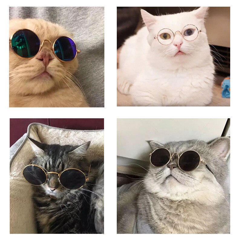 Kattekattehunde solbriller seje runde farverige briller til små hundekatte sjove øje-ware kæledyrsprodukter