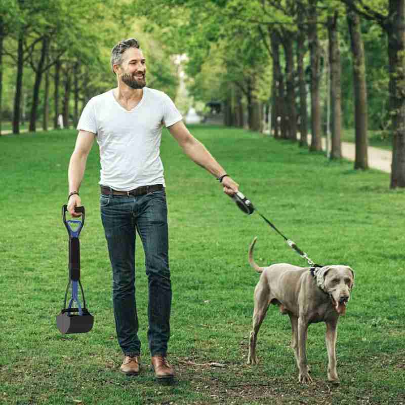 Pet Poop Scoop Poop Scoop Shovel Pick Up Animal Waste Picker Pooper Handle Colors Dog Cleaning Long Pet Tools 3 Pet Scooper