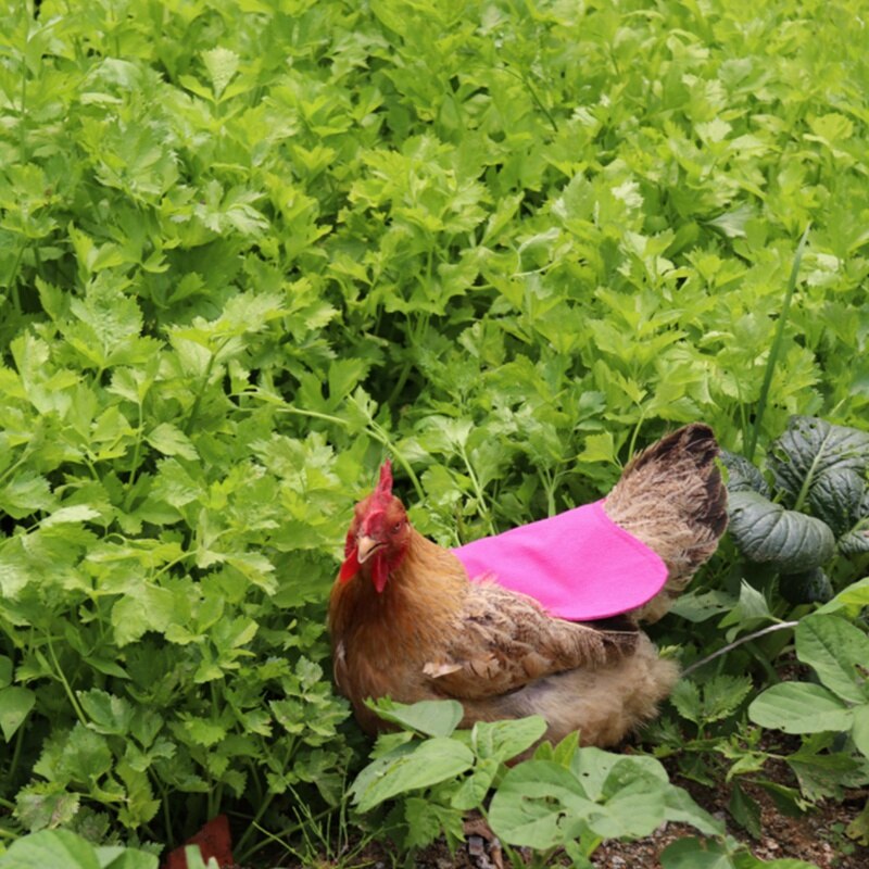 Delantal de montura de gallina y pollo, Color sólido, doble chaqueta ajustable, ropa para mascotas, chaleco, Protector trasero de plumas, suministros para mascotas, 5 uds