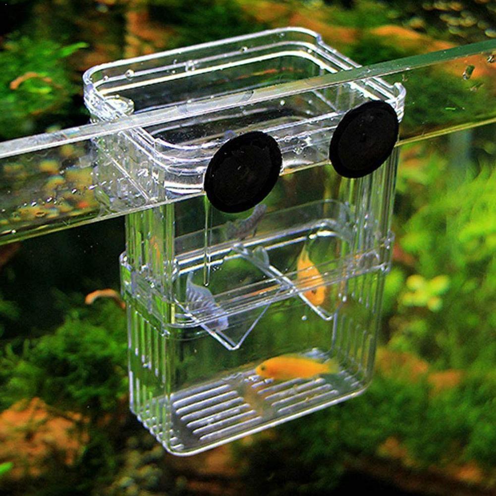 Large Acrylic Fish Breeding Box Aquarium Breeder Box Hatching Supplies Aquarium Double Incubator Pet Guppies Isolation S/L P0S3