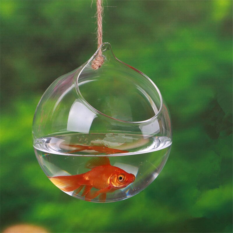 Boule transparente suspendue au mur, pot de fleurs, Vase de plantes, réservoir de poisson, conteneur de Terrarium, bouteille en verre pour décoration de jardin