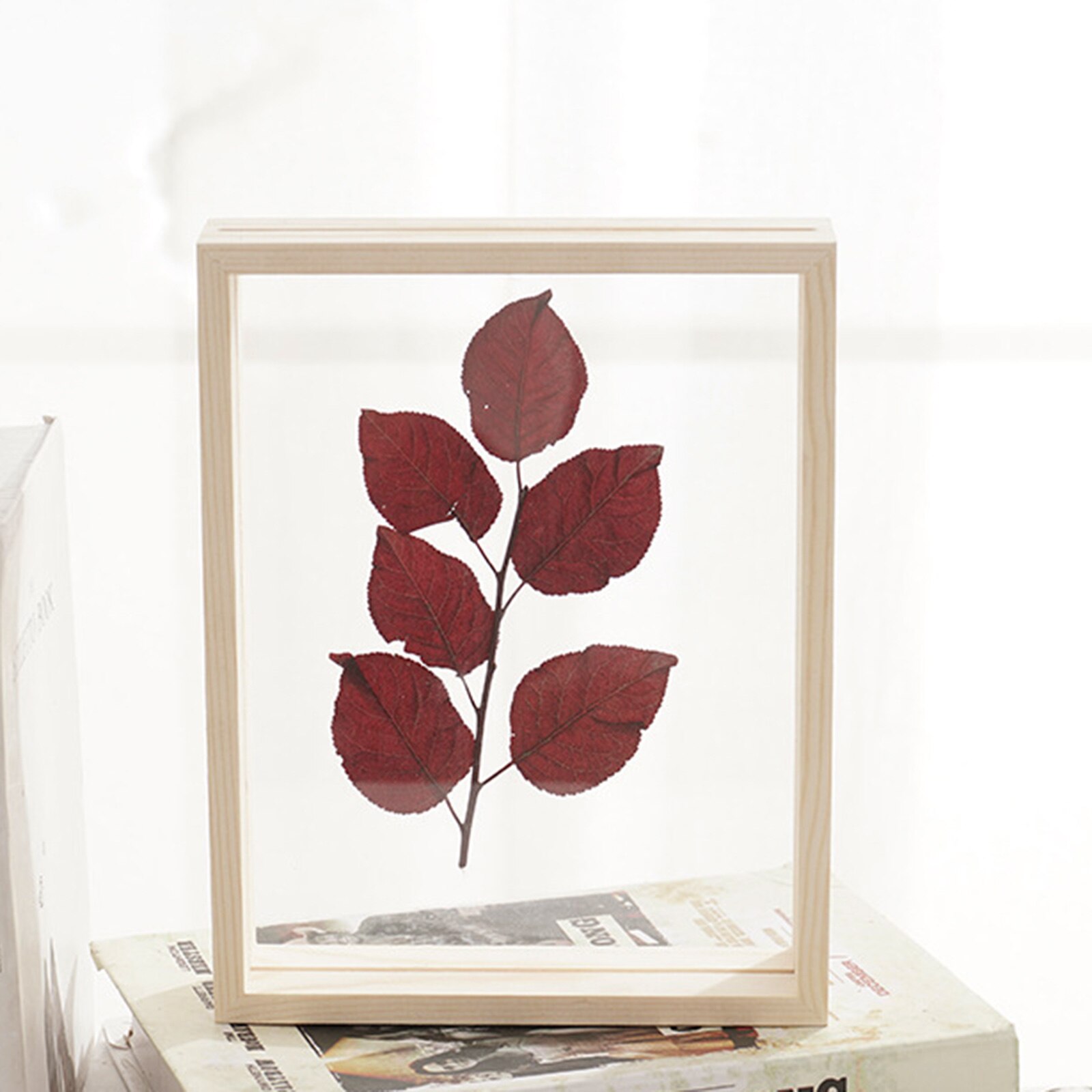 Plant Specimen Photo Frame Support Family Picture Holder Decor Artwork: 15.7x20.8cm