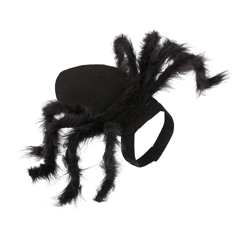 Costume d&#39;araignée pour chien et chat, vêtements pour animaux de compagnie, déguisement d&#39;halloween, fête de noël, accessoires pour animaux de compagnie, 2022: M