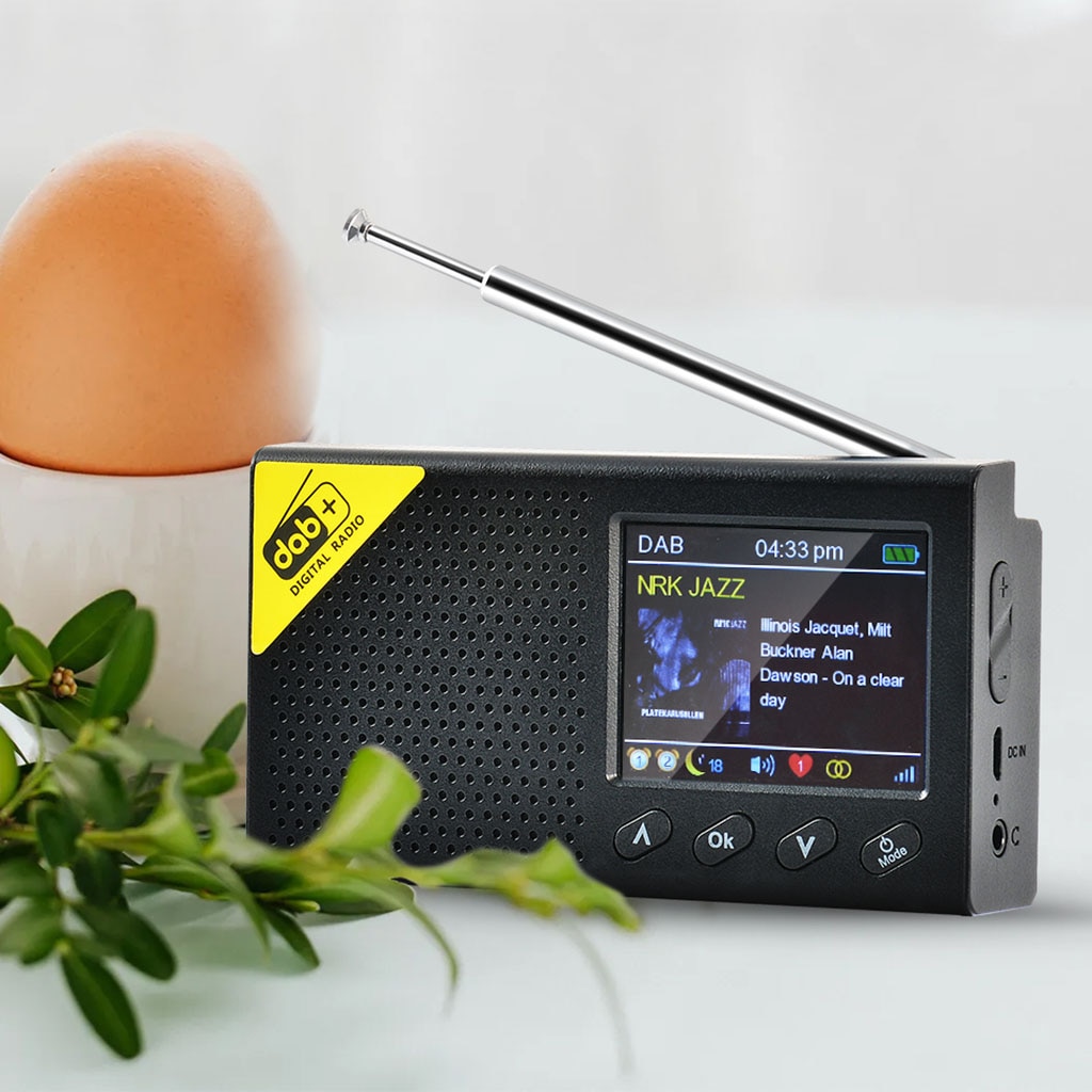 Draagbare Digitale Radio-Dab + Fm-Stereo Draagbare Radio, Oplaadbare Batterij, Hoofdtelefoon Jack