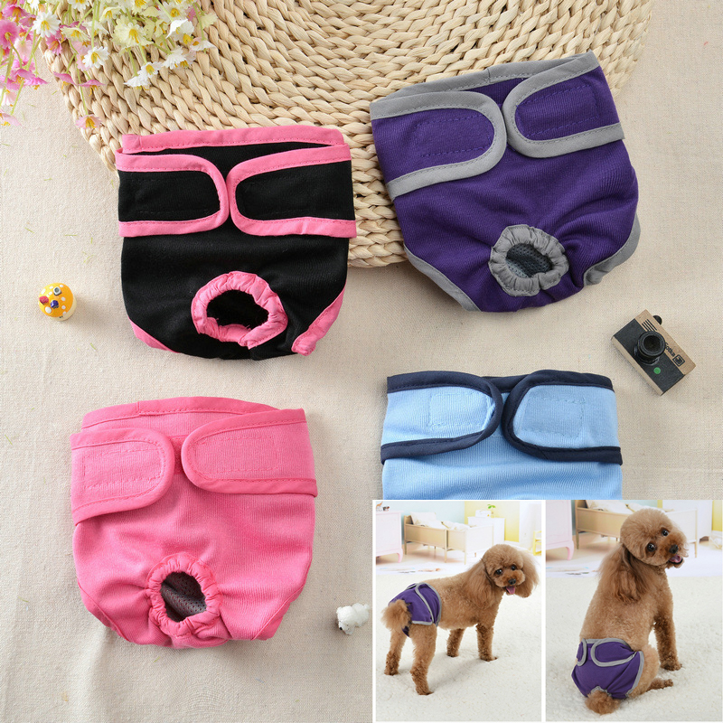 Pet Dog Panties Teddy Golden Retriever Physiological Pants With Velcro Dog Walking Anti-harassmen Dog Solit Physiological Pants