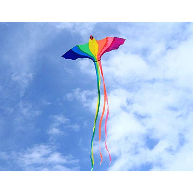 Phoenix Kite Met Lange Kleurrijke Staart Met Handvat Lijn Eenvoudige Bediening Familie-uitjes Outdoor Fun Sport Grote Vliegeren Voor volwassenen