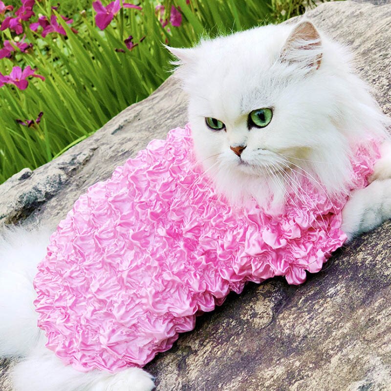 Cute Pet Cat Clothes for Cat Clothing Pet Clothes for Cats Coat Jacket Clothing for Cats flexible size fit for 1-10kg Pets: Pink
