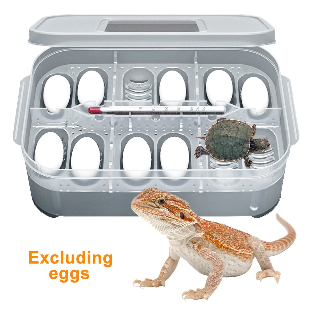 Incubadora de huevos con termómetro, Caja reutilizable para la cría de reptiles, tortugas, pájaros, gran capacidad, fácil de usar