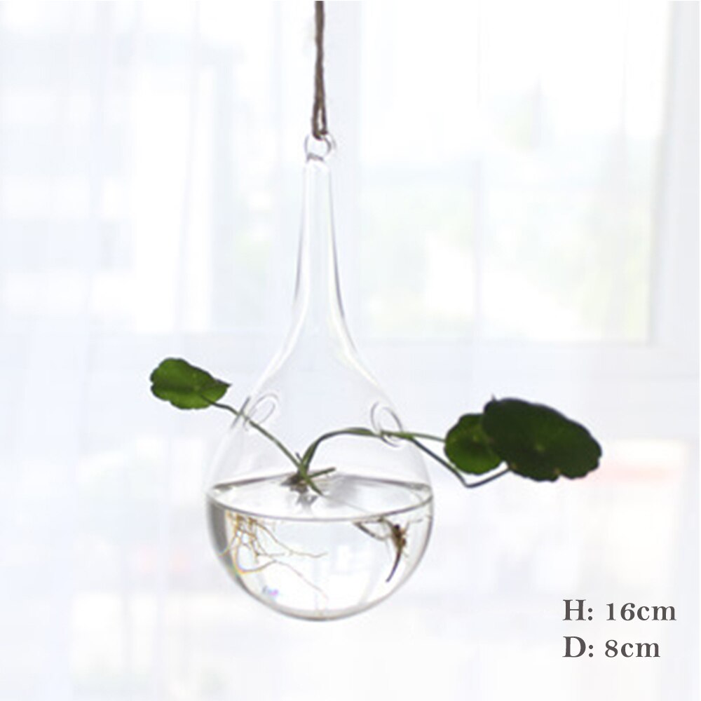 1Pcs Hanging Glass Vase Transparent Hydroponic Container Terrarium Flower Plant Pot Garden Home Wedding Decoration: 12