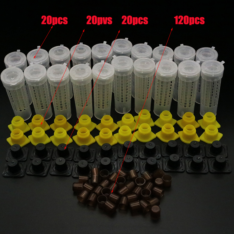 Jenter – Kit d'élevage de reine, système d'élevage de fausses abeilles, Cage mobile, outil pour apiculteur, fournitures: vert clair