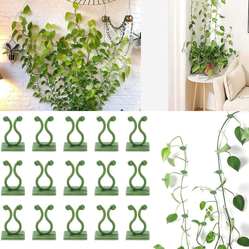 Clips de fixation murale pour plantes grimpantes, 10/30/50 pièces, fixateur de vigne en rotin, crochet auto-adhésif Invisible, Clip de liaison de jardin, Clip collant mural