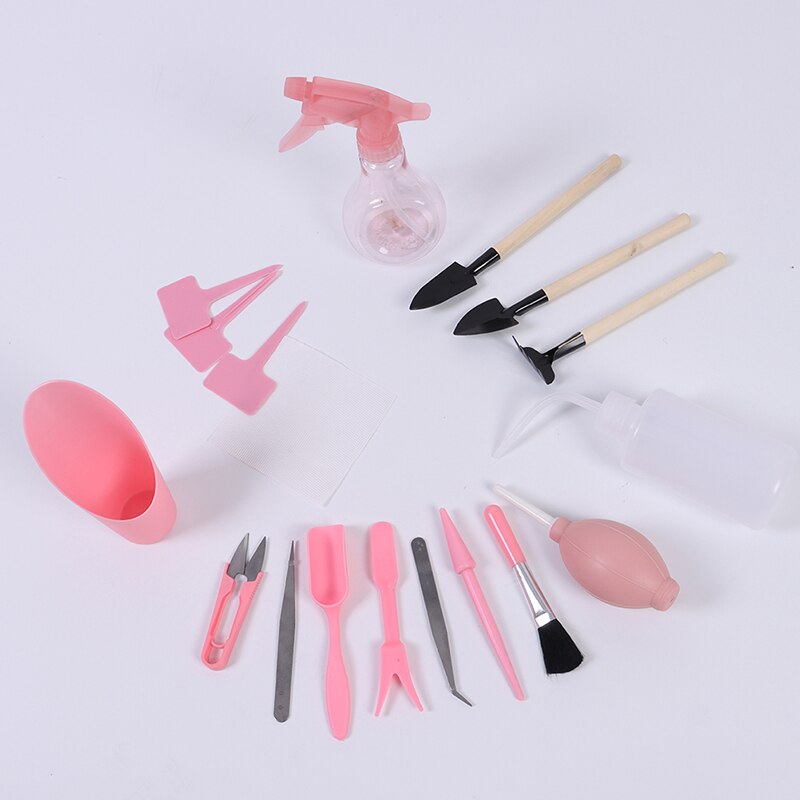 16 pièces succulentes outils de transplantation combinaison de fleurs emballage Mini fournitures de jardinage outils de viande en pot outils de jardin