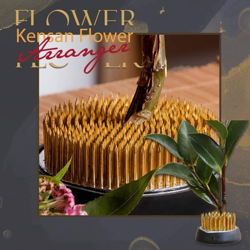 Kensan-Arreglo de flores redondo, rana de flores kebana Kenzan con junta de goma, herramientas de arreglo fijo de arte