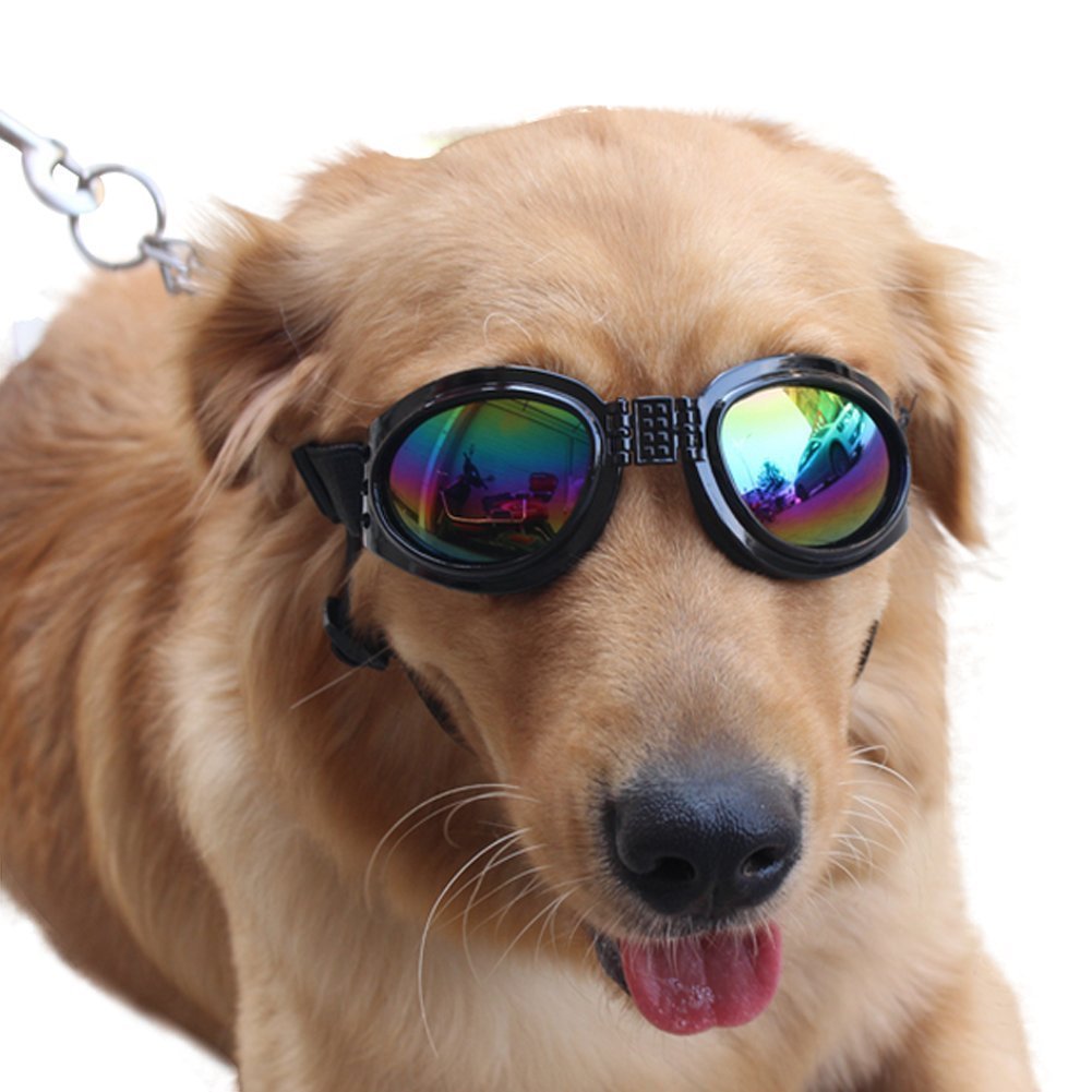 Gafas de sol para perro, productos para mascotas grandes, gafas para perros, accesorios para perros grandes,