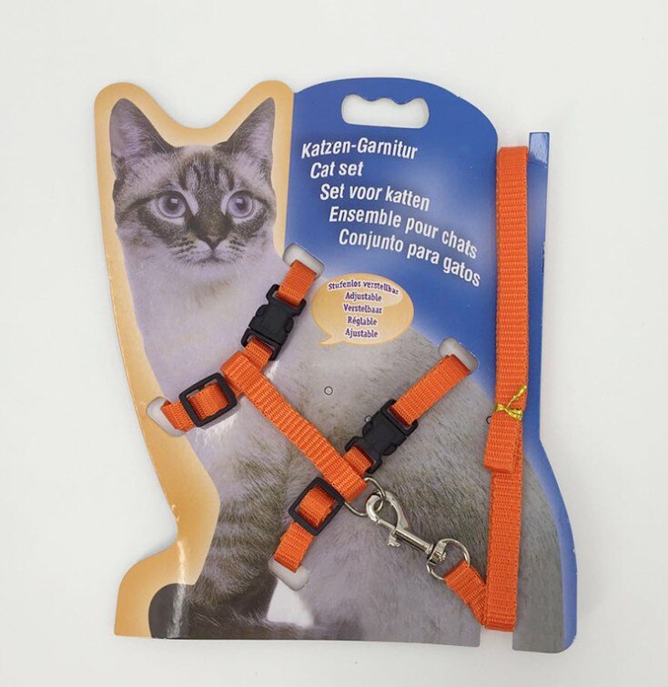 9 Kleuren Verstelbare Kat Leash Set Nylon Pet Kat Riemen Touw Voor Puppies Lopen Borstband Pet Product: orange
