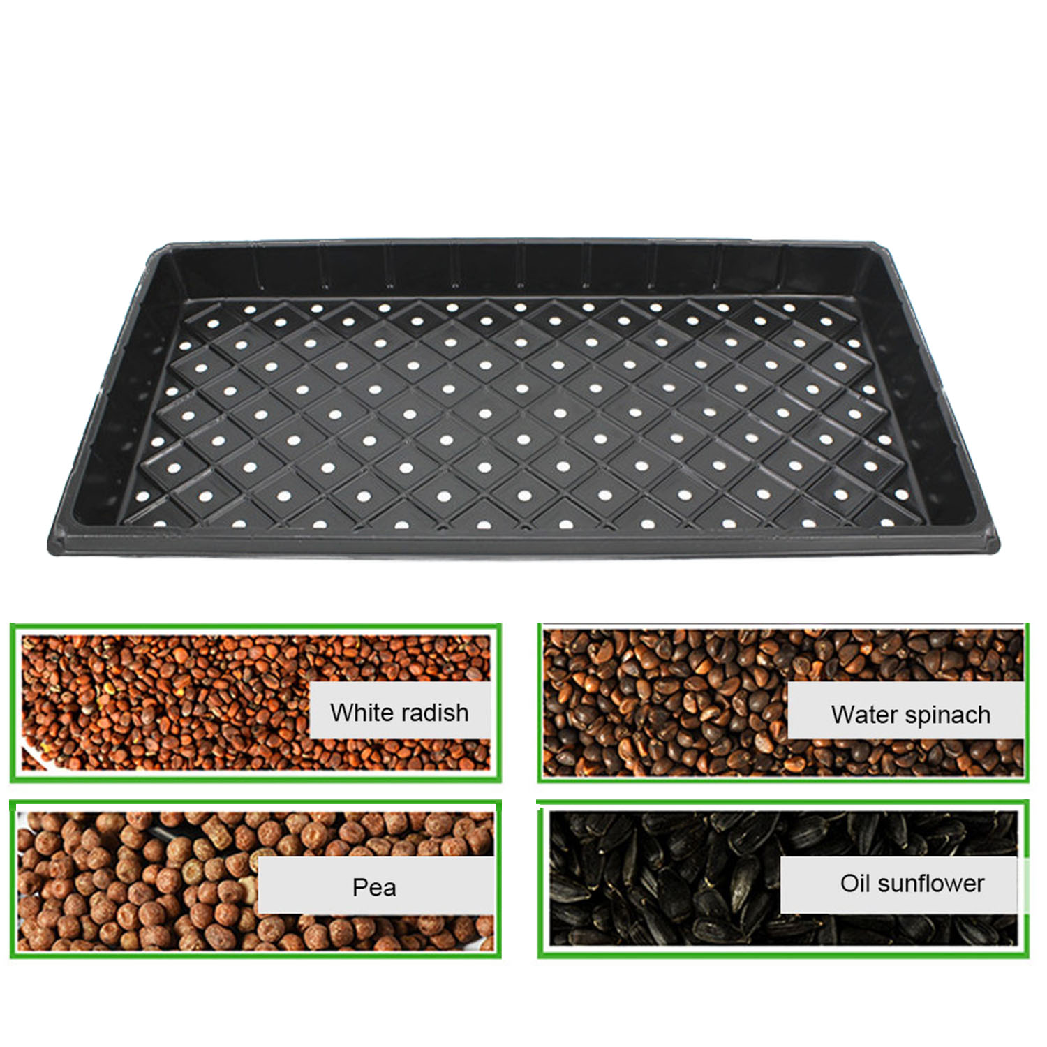 Behogar 2 st 54 x 28 x 5cm återanvändbara plantfröstarter odlingsbrickor extra för trädgårdsväxthus suckulenta vetegräs mikrogröt