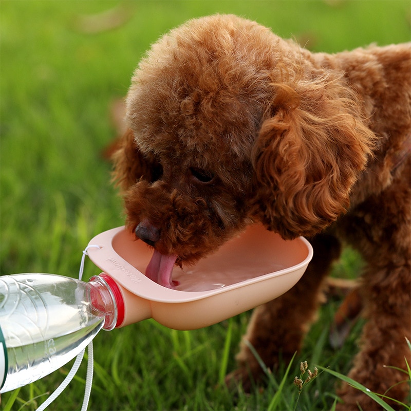 Hond Kom Huisdier Outdoor Drinkwater Apparaat Te Dragen Kan Worden Aangesloten Met Een Verscheidenheid Van Mineraalwater Flessen diy Apparaat