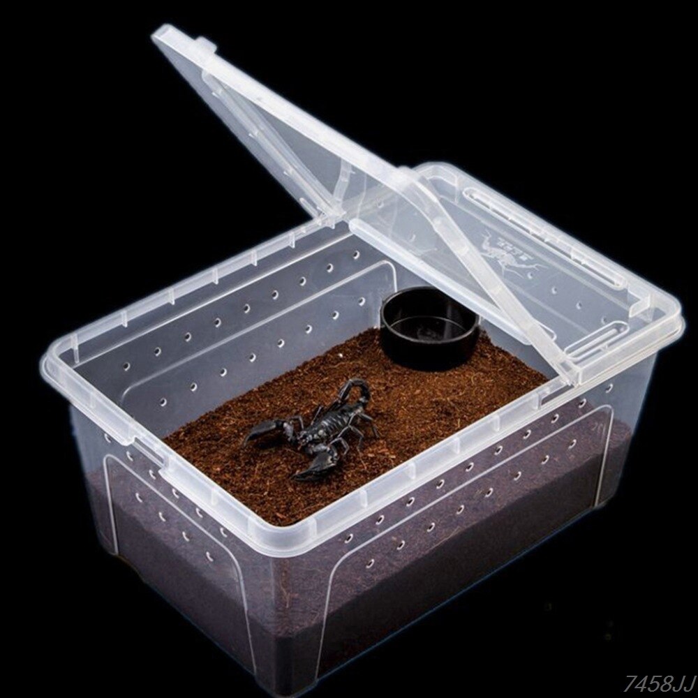Terrarium pour reptiles, boîte en plastique transparente, Transport d&#39;insectes, élevage d&#39;aliments vivants, boîte d&#39;alimentation G03