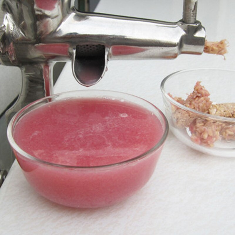 Wheatgrass juicers grape crusher juice extractor