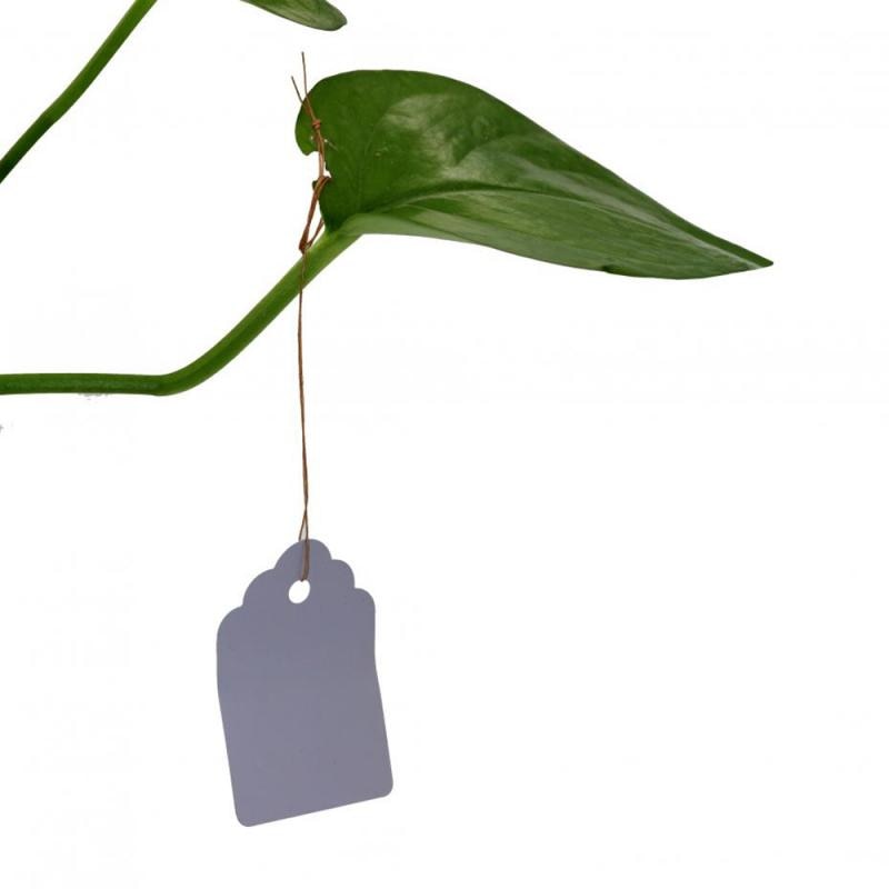 100pcs Plants Hang Tag Labels And Brands Seedling Garden Flower Pot Plastic Tag Number Plate Hanging Reusable