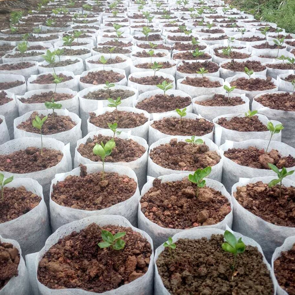100Pcs Biodegradable Nursery Plant Grow Bags Non Woven Fabric Seedling Growing Planter Planting Pots Garden Flower Ventilate Bag