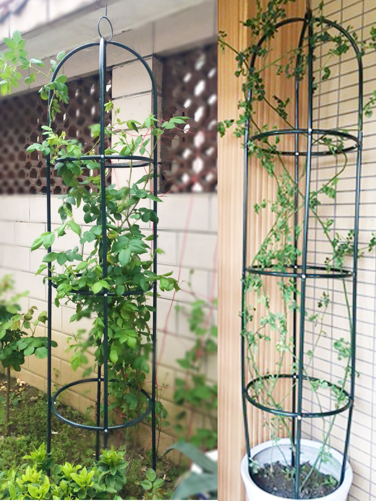 Klim Prieel Chinese Rose Clematis Lotus Buiten Kolom Vorm Europese Stijl Bloem Rack Pot Gedragen Bloem Ondersteuning Frame Indoor