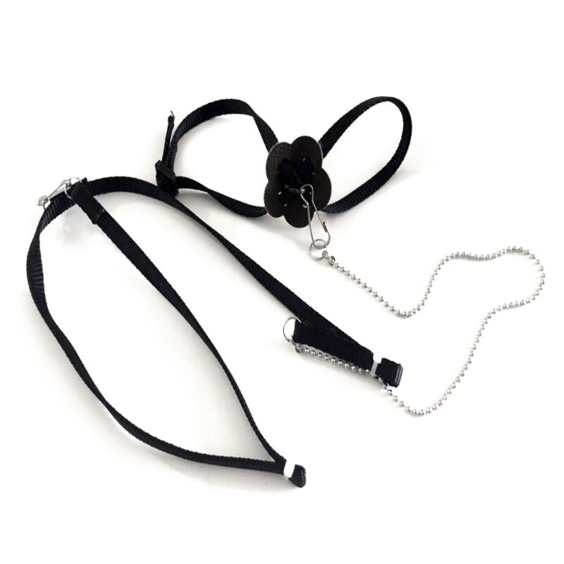 Laisse de harnais d'oiseau de perroquet pour animaux de compagnie corde d'entraînement réglable extérieure sangle de Traction Anti-vol bande souple Portable directe: Black