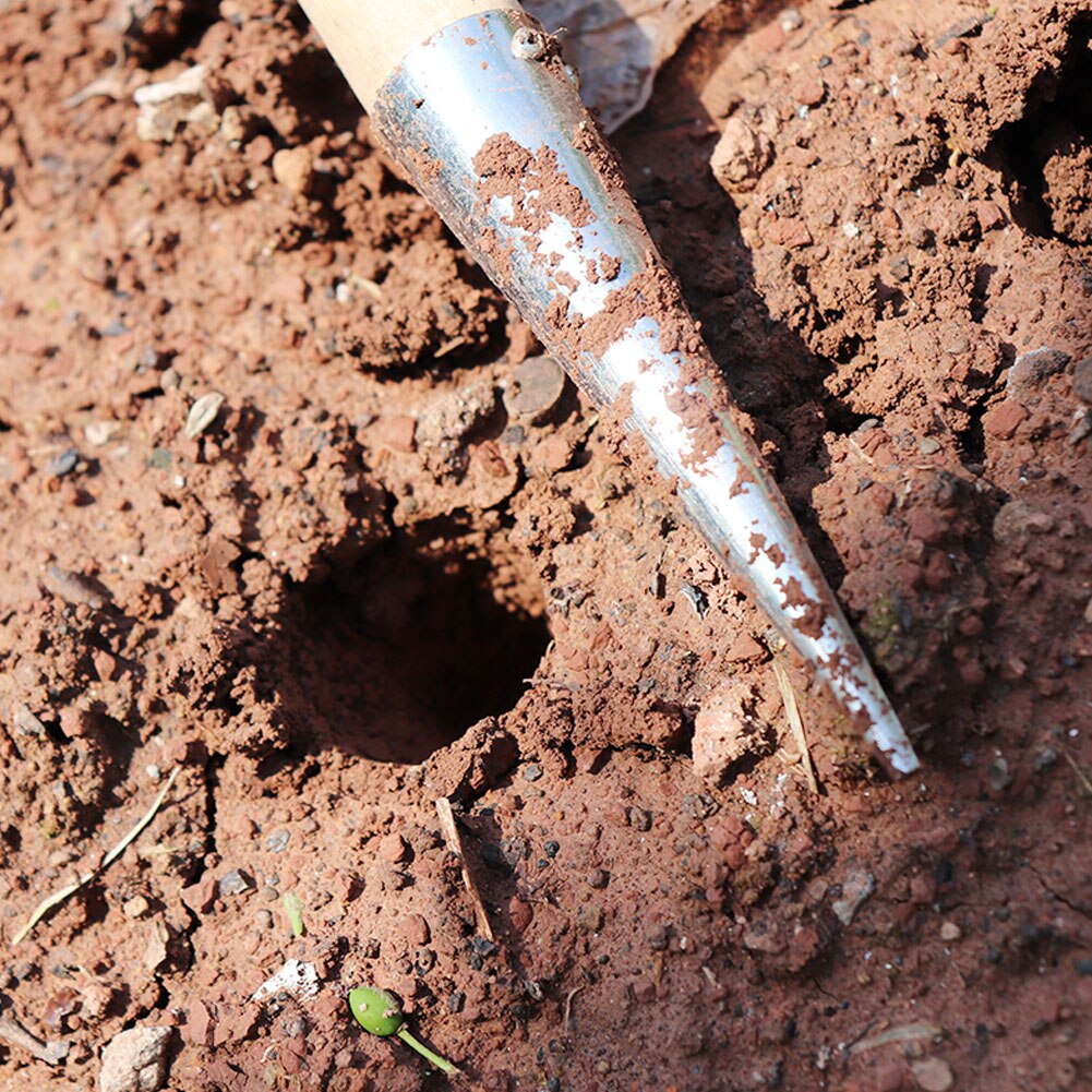 Dibber pour Planter des graines à longue poignée à main bulbe planteur outil pour Planter des graines semis jardinage perforateur fournitures