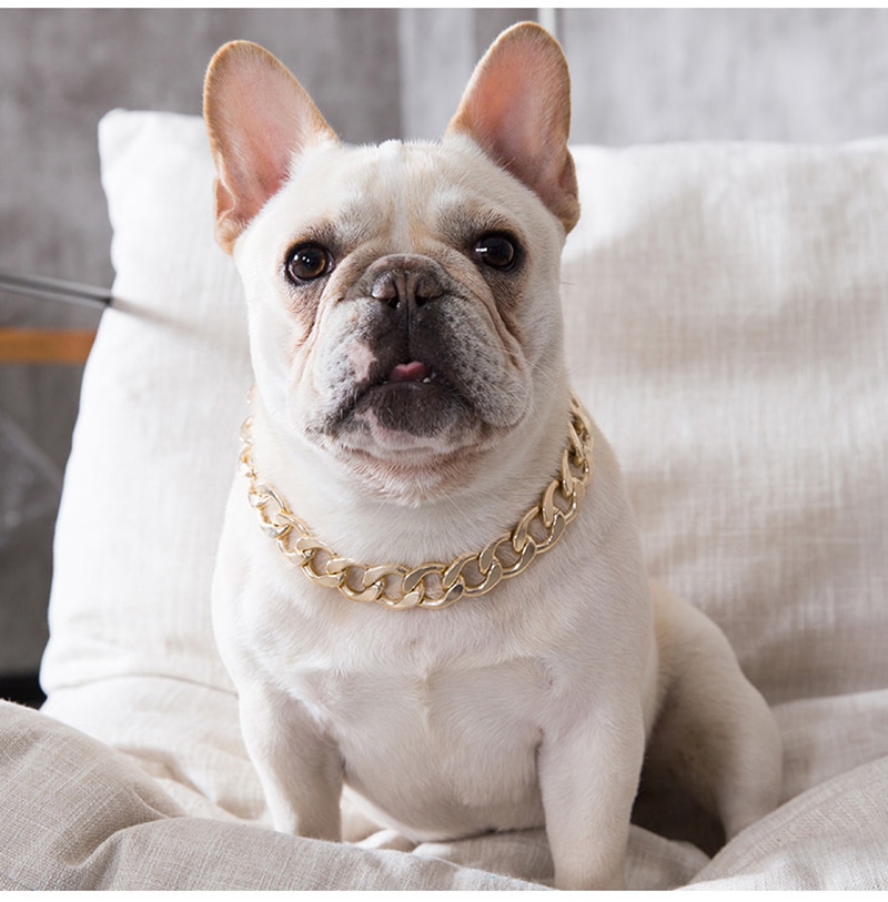 De plástico de oro perro de Collar de cadena joyas de mascotas foto Prop perro accesorios 45cm para pequeños perros grandes clásico Collar para mascota nueva