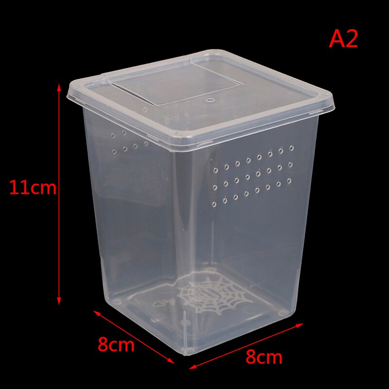 Plastic Insect Spider Habitat Feeding Box Case Container Tank Transport Case Hatching Tank !: A2